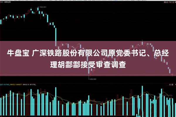 牛盘宝 广深铁路股份有限公司原党委书记、总经理胡酃酃接受审查调查